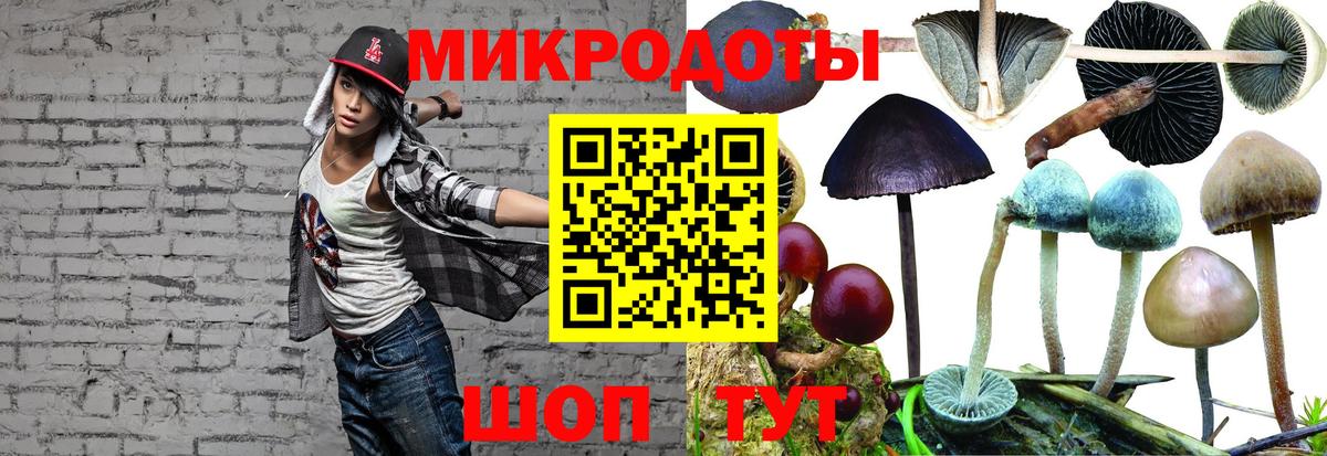 Псилоцибиновые грибы мицелий  Вход с VPN  Краснодар 
